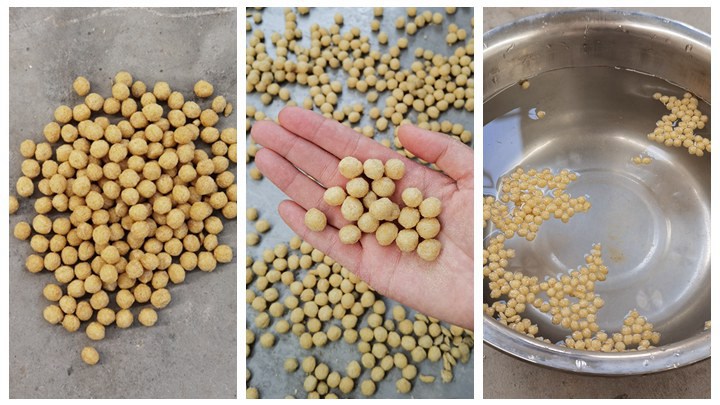 <h3>How to choose the right fish feed pellet machine: Ultimate Guide</h3>
